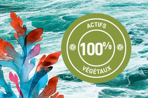 Notre Engagement pour une Beauté Éco-Responsable